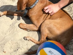 8. Turnier der Beachvolleyball-Turnierserie Friesenbeach-Cup 2026