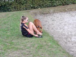 8. Turnier der Beachvolleyball-Turnierserie Friesenbeach-Cup 2026